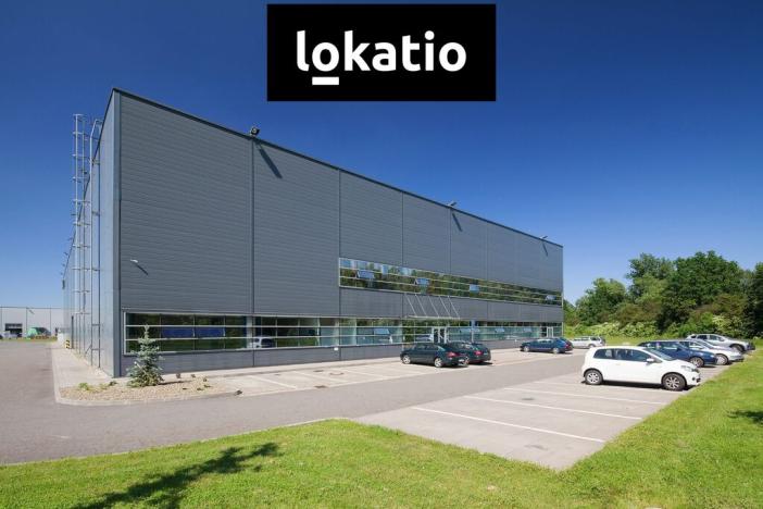 Pronájem skladu, Ovčáry, 29700 m2