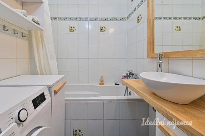 Pronájem bytu 1+1, Brno, Renčova, 45 m2