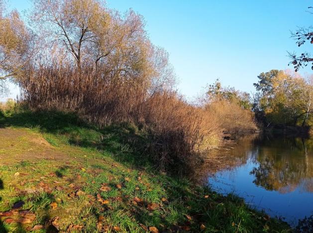 Prodej louky, Bulhary, 5838 m2