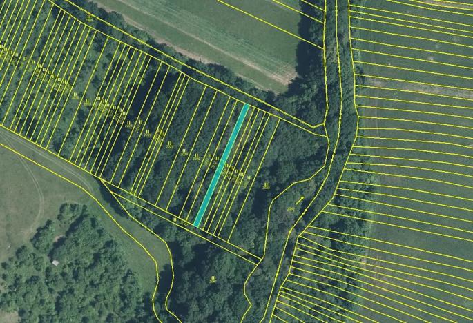 Prodej podílu louky, Malá Vrbka, 12012 m2