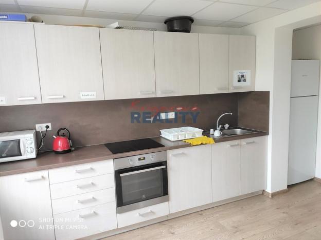 Pronájem kanceláře, Homole, 20 m2