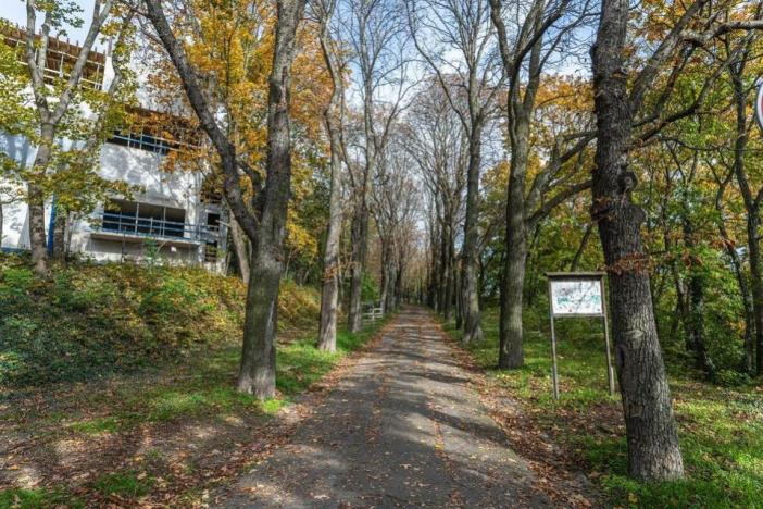 Prodej bytu 2+kk, Praha - Vysočany, Pod Krocínkou, 55 m2