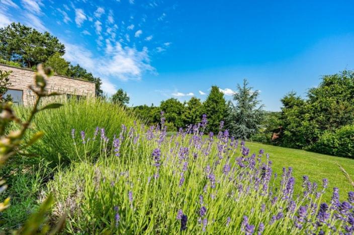 Prodej vily, Praha - Velká Chuchle, U bažantnice, 674 m2