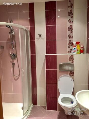 Prodej bytu 3+1, Karlovy Vary, nábřeží Jana Palacha, 91 m2