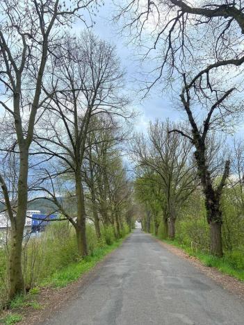 Prodej komerčního pozemku, Karlovy Vary - Dvory, 1420 m2