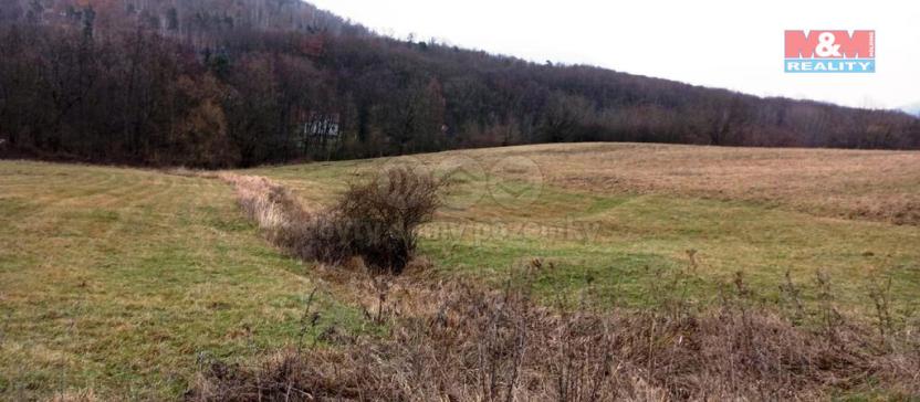 Prodej louky, Třebušín, 8010 m2