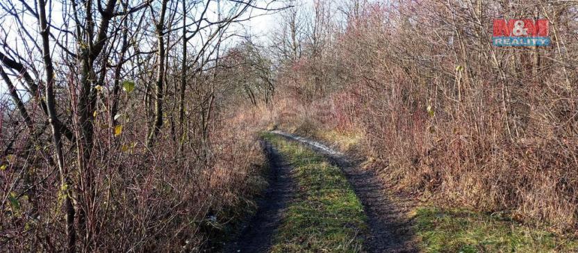 Prodej zahrady, Velemín - Oparno, 3561 m2