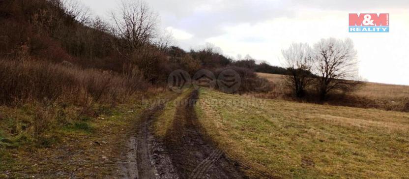 Prodej zahrady, Velemín - Oparno, 3561 m2