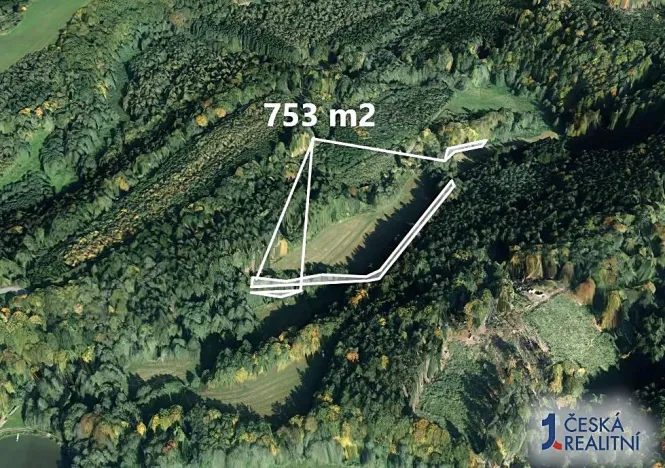 Prodej lesa, Třebovice, 753 m2