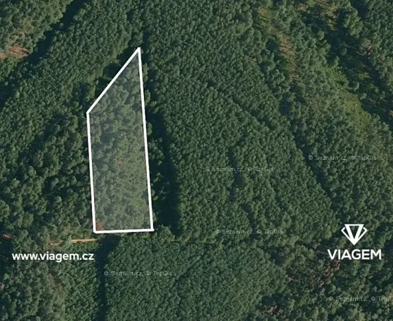 Prodej podílu lesa, Vlastiboř, 1170 m2