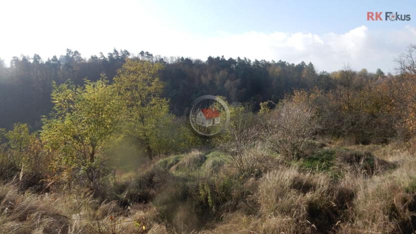 Prodej pozemku pro bydlení, Třebíč, Kaštanová, 2886 m2