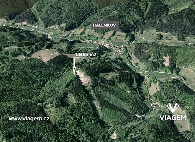 Prodej podílu lesa, Halenkov, 1446 m2