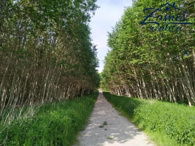 Prodej sadu/vinice, Kačice, K zahradě, 43712 m2