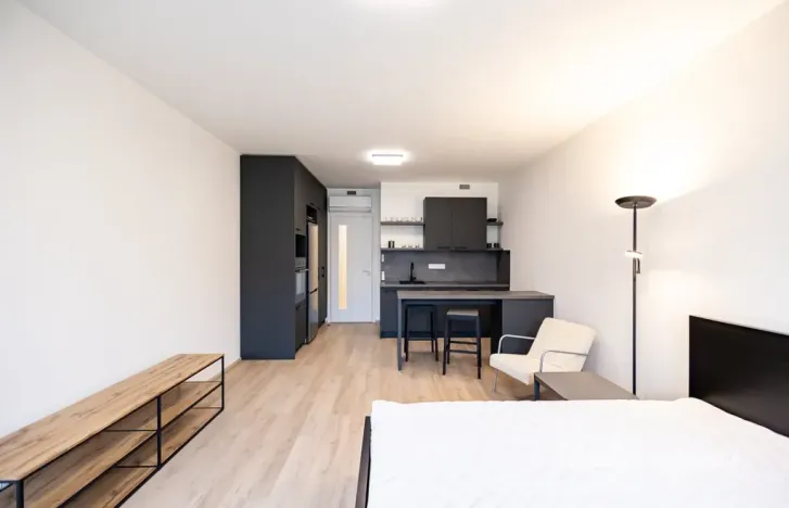 Pronájem bytu 1+kk, Praha - Žižkov, Šrámkové, 36 m2