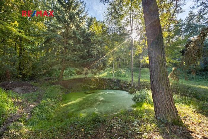 Prodej lesa, Praha - Malá Chuchle, 17570 m2