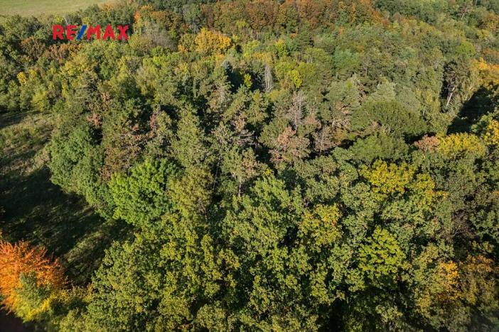 Prodej lesa, Praha - Malá Chuchle, 17570 m2