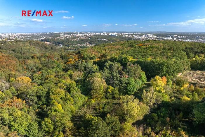 Prodej lesa, Praha - Malá Chuchle, 17570 m2