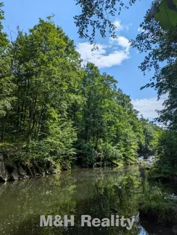 Prodej lesa, Ostravice, 7872 m2