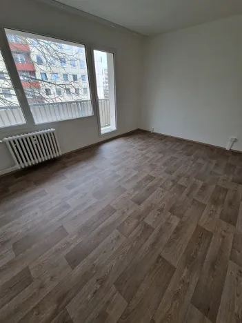 Pronájem bytu 4+1, Ústí nad Labem, Dr. Horákové, 84 m2