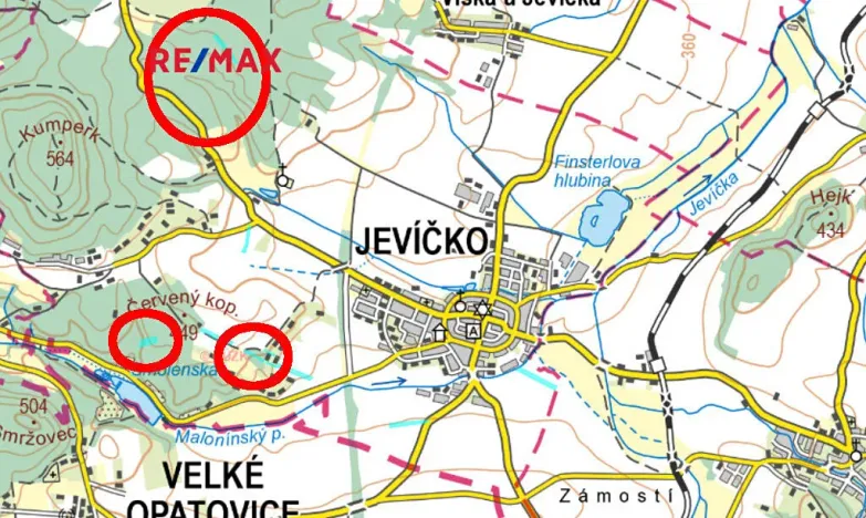 Prodej lesa, Jevíčko, 24771 m2