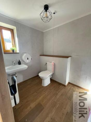 Prodej restaurace, Bílina, Komenského, 686 m2