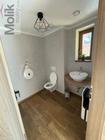 Prodej restaurace, Bílina, Komenského, 686 m2