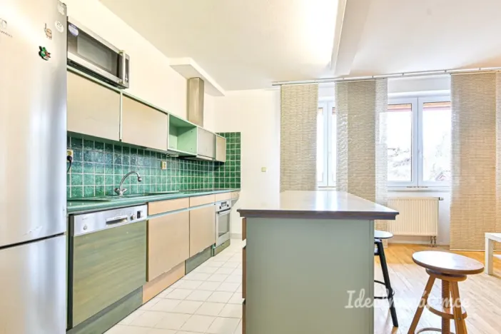 Pronájem bytu 1+kk, Brno - Královo Pole, Mojžíšova, 62 m2