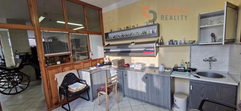 Prodej obchodního prostoru, Březí, Mikulovská, 259 m2