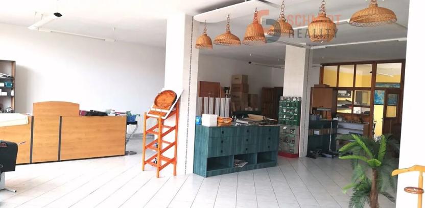 Prodej obchodního prostoru, Březí, Mikulovská, 259 m2
