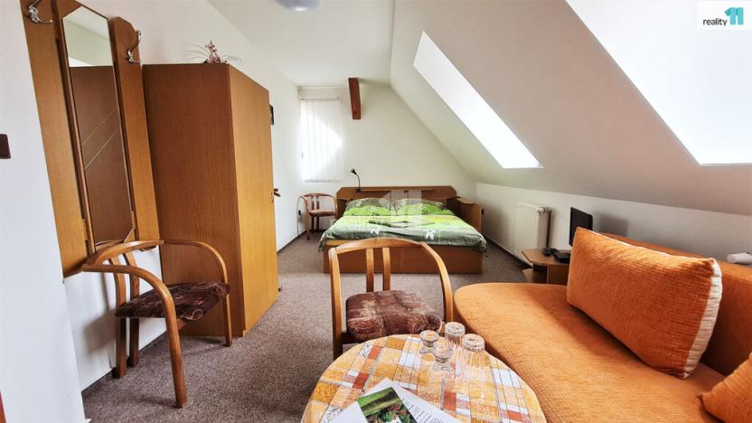 Prodej ubytování, Provodov-Šonov - Kleny, 400 m2