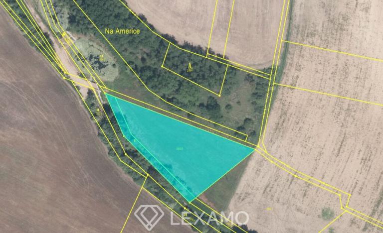 Prodej pole, Běhařovice, 3575 m2