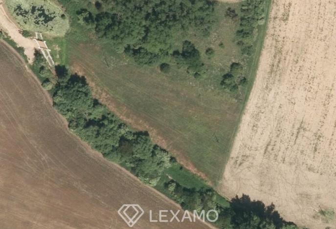 Prodej pole, Běhařovice, 3575 m2