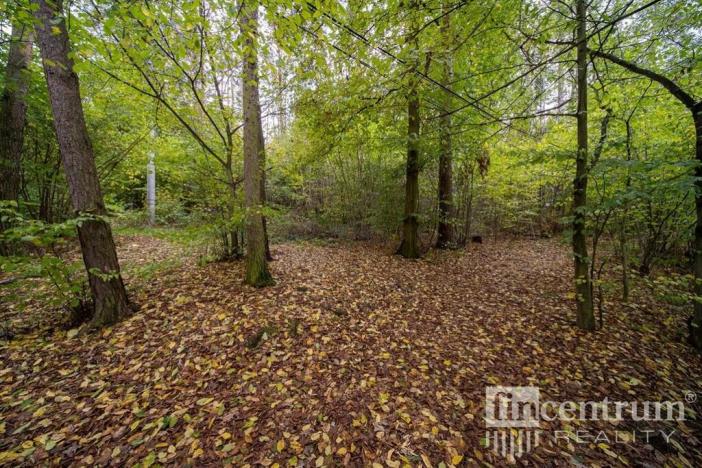 Prodej lesa, Slapy, 2256 m2