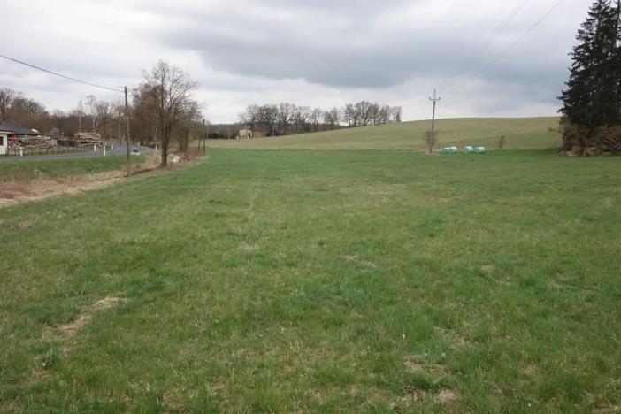 Prodej louky, Cheb, 5828 m2