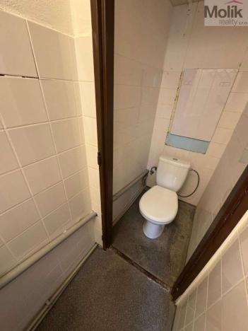 Pronájem obchodního prostoru, Most, Lipová, 75 m2