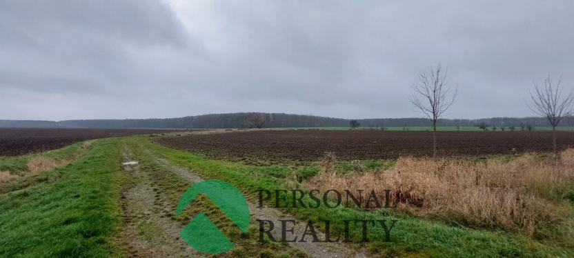 Prodej pole, Lodín, 3093 m2