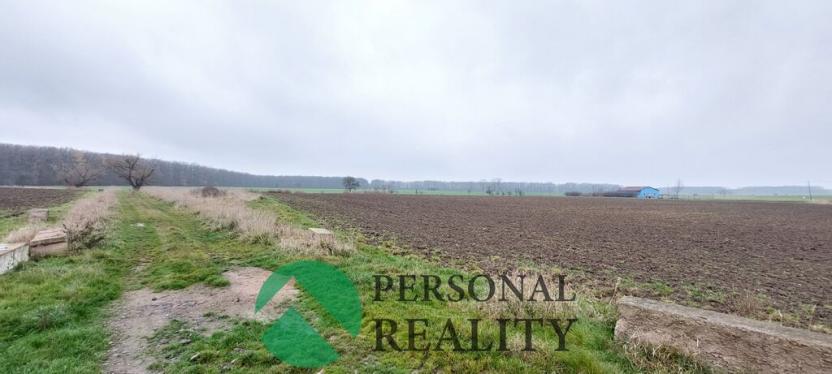 Prodej pole, Lodín, 3093 m2