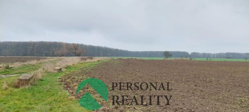 Pronájem pole, Lodín, 3093 m2