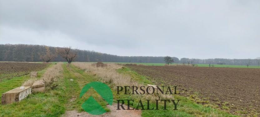 Pronájem pole, Lodín, 3093 m2