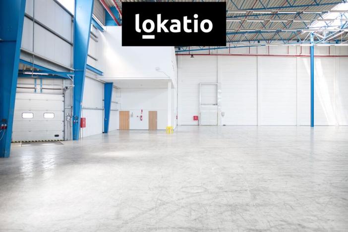 Pronájem skladu, Kněževes, 6398 m2