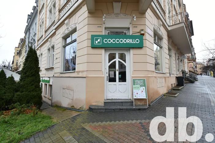 Prodej obchodního prostoru, Karlovy Vary, Moskevská, 60 m2