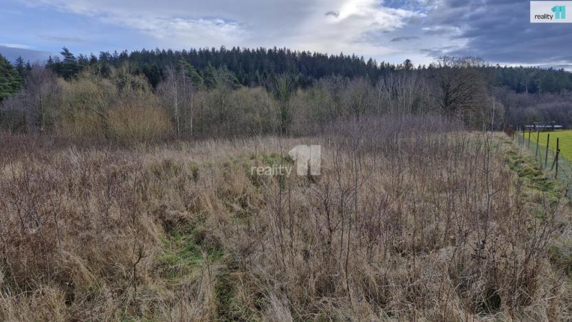 Prodej pozemku pro bydlení, Kynšperk nad Ohří - Zlatá, 2983 m2