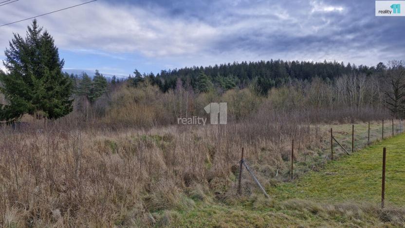Prodej pozemku pro bydlení, Kynšperk nad Ohří - Zlatá, 2983 m2