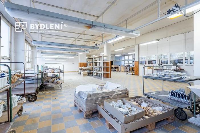 Prodej komerční nemovitosti, Duchcov, Sadová, 11341 m2