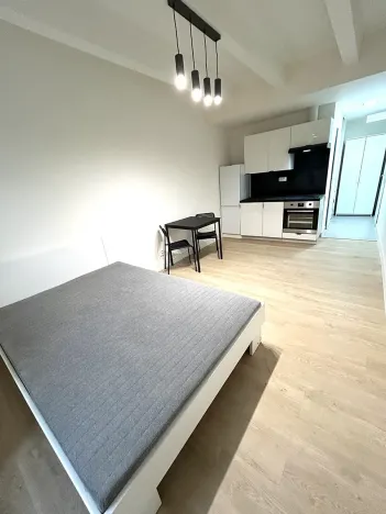 Pronájem bytu 1+kk, Praha - Nusle, Na bitevní pláni, 27 m2