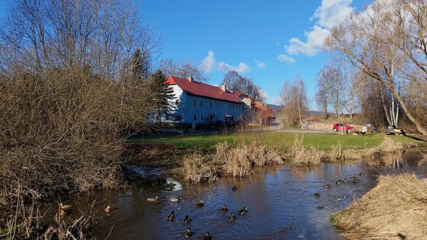 Prodej chalupy, Horní Planá, 492 m2