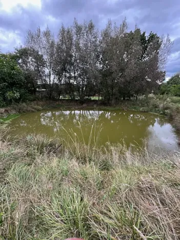 Prodej ubytování, Štědrá, 6028 m2