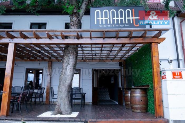 Pronájem obchodního prostoru, Praha - Střešovice, Nad hradním vodojemem, 426 m2