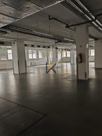 Pronájem obchodního prostoru, Praha - Braník, Zelený pruh, 818 m2