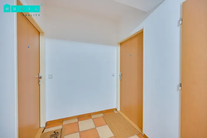 Pronájem bytu 2+kk, Olomouc - Nové Sady, Družební, 63 m2